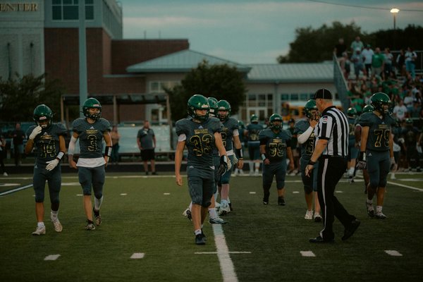 What Are the Most Unusual Pets in the UK and Why Do People Choose Them?