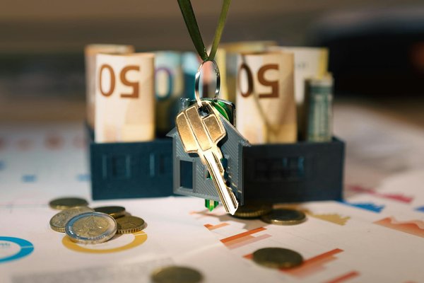 How Can Your Pet Influence Your Style Choices?